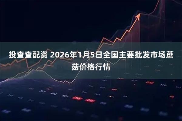 投查查配资 2026年1月5日全国主要批发市场蘑菇价格行情
